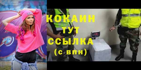 стаф Арсеньев