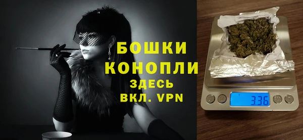 стаф Арсеньев