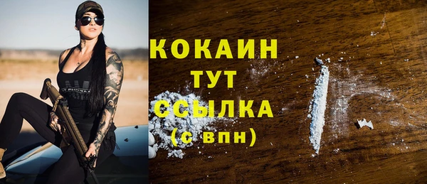 стаф Арсеньев