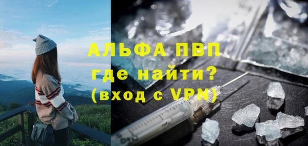 стаф Арсеньев