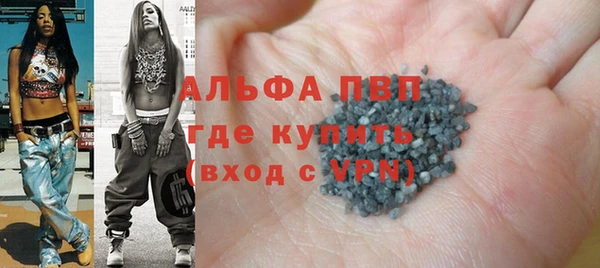 стаф Арсеньев