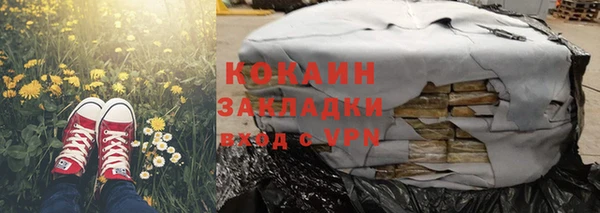 стаф Арсеньев